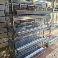 قفس بلدرچین تخمگذار