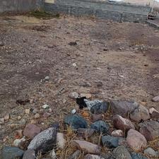 فروش زمین مشکین اباد تجاری مسکونی