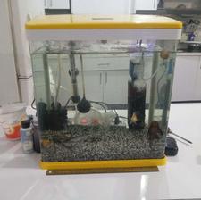 اکواریوم شرکتی شیشه خم سالم بدون یه خش