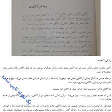 تایپ، ترجمه و پایان نامه