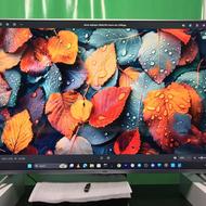 تلوزیون TCL 50 P6 US تولید محدود