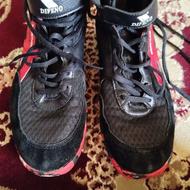 کفش کشتی درحد