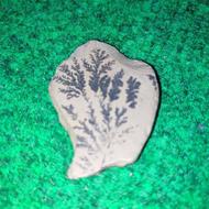 سنگ فسیل شجر ( درخت ) کاملا طبیعی در ابعاد 4 در 5 سانتی متر