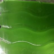 فروش استارتر جلبک و دافنی (غذای زنده ماهی)