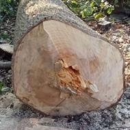 چوب خرین شهرهای بابل،امیرکلا،بابلسر،قایمشهر،ساری،آمل