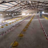 دانخوری آبخوری