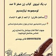 نیروی کباب زن درصدی