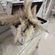 صندوقچه چوبی و کالسکه