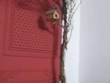 درخت مصنوعی 2متر و 30 در شیپور