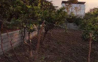 فروش زمین مسکونی 130 متر در خیابان کفشگرکلا