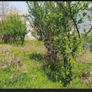 زمین قطعات 300 تا 400 متری داخل بافت مسکونی هولار ساری