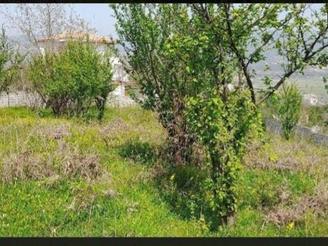 زمین قطعات 300 تا 400 متری داخل بافت مسکونی هولار ساری