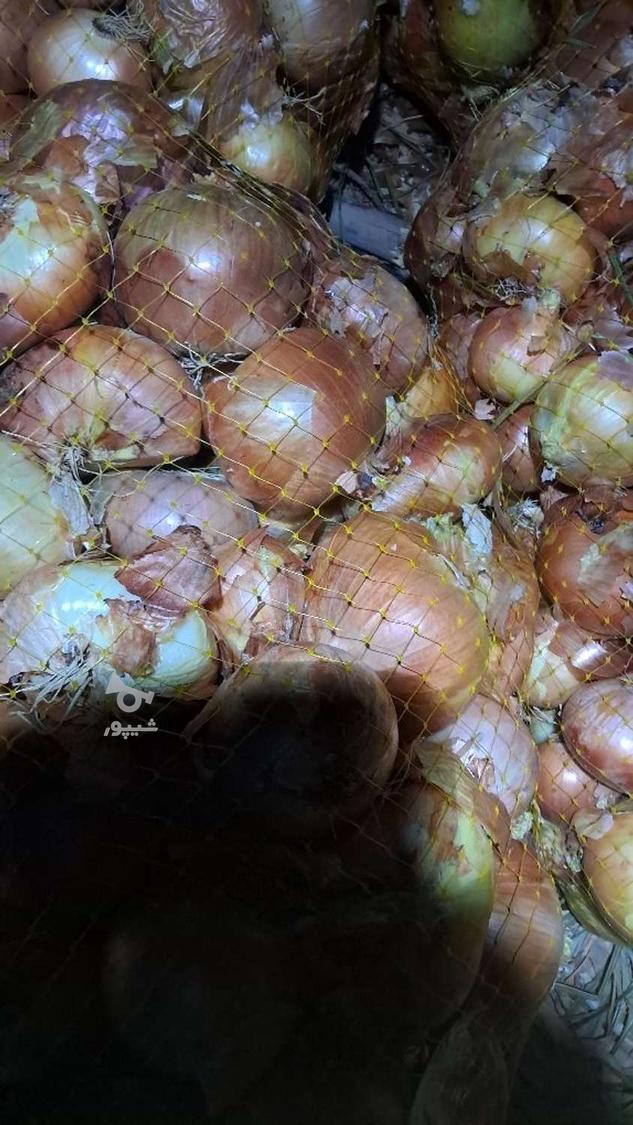 پیاز زرد حدودا ده تن