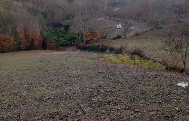 فروش زمین کشاورزی 2500 متر در سالار دره