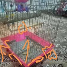 قفس پرنده استوانه