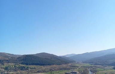 فروش زمین کشاورزی 500 متر در کلیجان رستاق