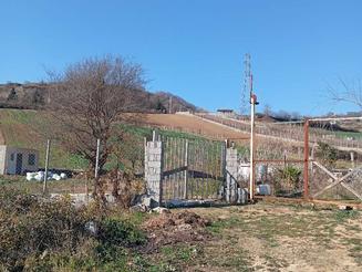 فروش زمین کشاورزی 500 متر در کلیجان رستاق