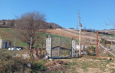 فروش زمین کشاورزی 500 متر در کلیجان رستاق