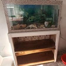 آکواریوم با تجهیزات و میز زیرش