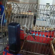 کرمانی مست دهن لر عطیقه بیاها مهر