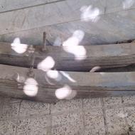 فنر بنز قپونی