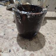 بوته گرافیکی