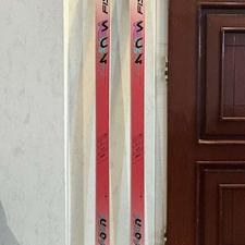 چوب اسکی الپاین