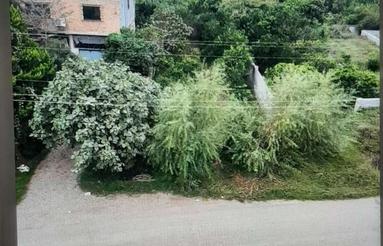 زمین بر خط اصلی جاده نظامی شامیرکلا به طارسیکلا