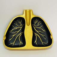 جاسیگاری ریه