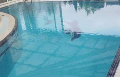 فروش زمین اداری و تجاری 2000 متر در مرکز شهر