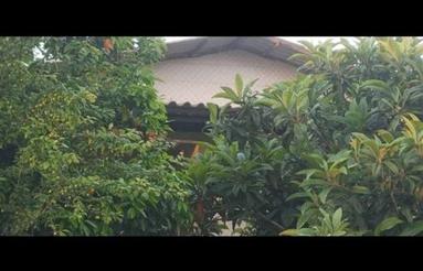 خونه باغ زیبا در محیطی امن و راحت با همسایه خوب سند تک بر