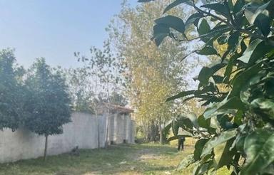 زمین آماده ساخت سرخرود / شهرکی و اقساطی