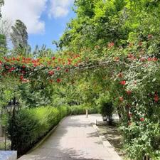 اجاره ویلا 185 متر در شهرک غرب