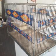 قفس های سهره دست بافت 7عدد رام کننده ت له