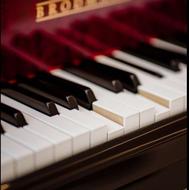 بالاترین خریدار ارگ.کبیورد.پیانو (حتی خراب)