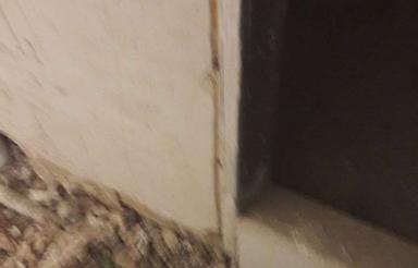 واحدهای سندارپیش فروش