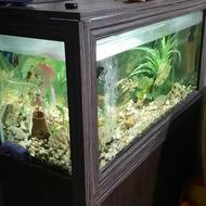 آکواریوم با تجهیزات کامل و ماهی