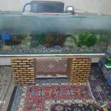 اکواریوم سالم