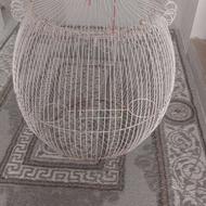 قفس پرنده زیبا.