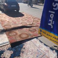 پالاز موکت تمیز 20 متر درحد