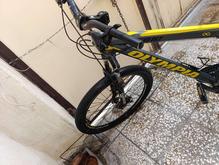 دوچرخه المپیا در شیپور