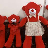 خرس شاسخین قرمز