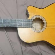 گیتار نو برند دیاموند