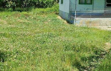 650 متر ویلا باغ/ پروانه 200 متری/ درشهر پره سر