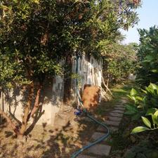 فروش خانه باغ380متر