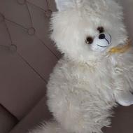 گربه عروسکی بدون زدگی