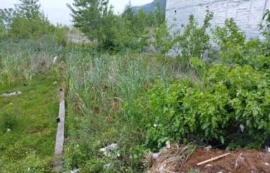 82 متر بر اصلی بهارنارنج