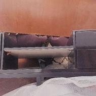 میز تلویزیون و جلو مبلی