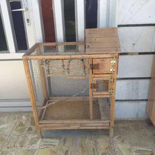 قفس کاسکو عروس طوطی