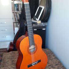 گیتار ..goodman..